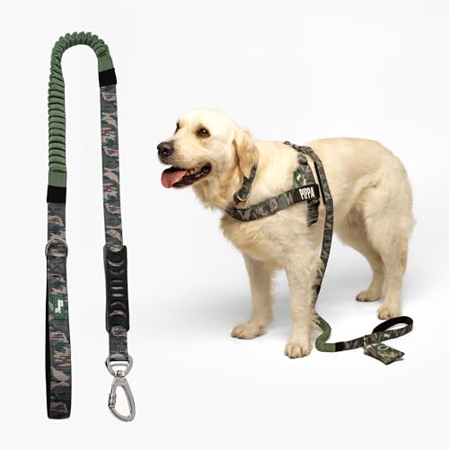 Dog Friendly Co. Bungee Dog Leash | Strain Free & Shock Resistant for Control | Neoprene Padded Handle, Heavy-Duty Carabiner Clip, and D-Ring | Green Camo, Size Small - color: Green Camo, size: Small