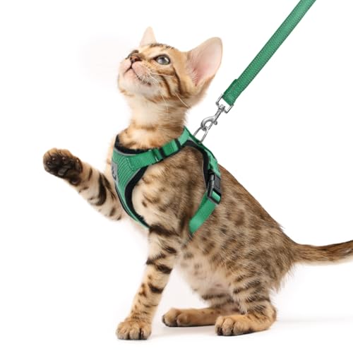 PUPTECK Cat Harness and Leash Set Escape Proof Reflective Cat Walking Harness Adjustable Soft Breathable Mesh Vest for Small Pets, Dark Green, XS - color: Dark Green, size: XS (NECK 8.5", CHEST 11"-14")