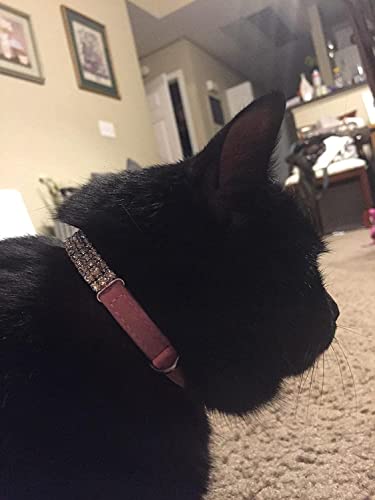CHUKCHI Soft Velvet Safe Cat Adjustable Collar Bling Diamante with Bells,11 inch for Small Dogs and Cats (Pink- 2 Pack) - color: Pink- 2 Pack