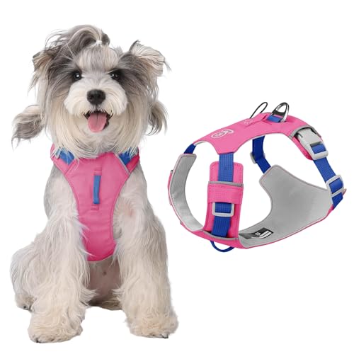 No Pull Dog Harness with Front Clip, Tracker Pocket, Adjustable Breathable Dog Harness with Reinforced D-Ring and Utility Loop, Lightweight Walking Harness for Small Medium Large Dogs, Pink, S - color: Pink, size: S