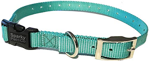 Sparky Pet Co - ECollar Replacement Strap - Easy Release Double Buckle Dog Collar - Rugged Nylon - Adjustable - D Ring - Quick Release Metal Clasp - for Invisible Fence Systems - 1" x 28" - Teal - color: Teal, size: 1" Wide