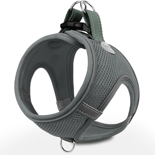 Joytale Small Dog Harness, Breathable Mesh Step-in Vest, Reflective Soft Padded Harnesses for Cats and Puppies Dogs, Gray, XXXS - color: Gray, size: XXXS--Chest: 10.5-12''