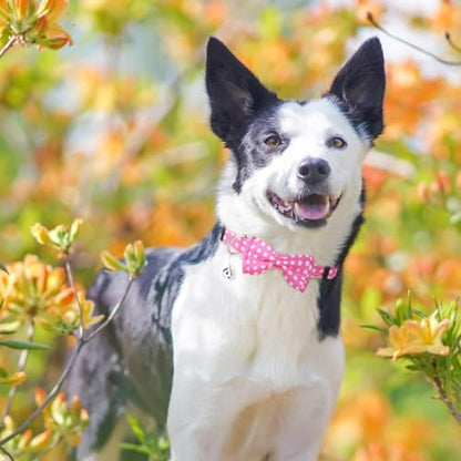 BINGPET Dog Harness Collar Leash Set,Adjustable No Pull Escape Proof Small Dog Harness,Classic Plaid Puppy Harness and Leash Set for Small Medium Large Dogs Training Easy Walk Running(Polka Dots,S) - color: Polka Dots, size: S(Chest Girth:14.9''-20.9'')