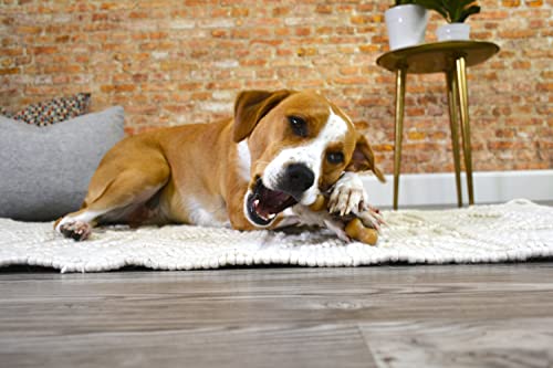 Nylabone Gourmet Style Wishbone Strong Chew Toy for Dogs, Chicken Flavor, Large - Up to 50 lbs, 1 Count - size: Large