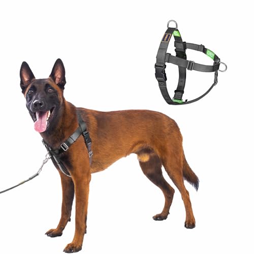 Freedom No Pull Dog Harness, Front Clip, Easy Walk, Dog Friendly with 2 Stainless D-Rings, Sewn-in Instructions Tags for Easy Use, for Large Dogs Weight 60-80 lbs (Black, L) - color: Black, size: Large