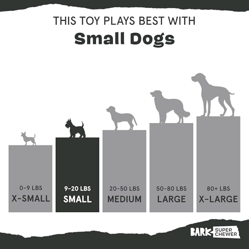 Barkbox Macaruffs | Plush Dog Toy Bundle for Small Dogs, Perfect for Cuddles and Gift Giving - style: Macaruffs