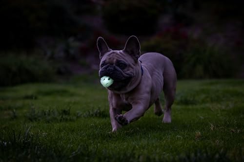Chuckit! Air Glow Fetch Ball Dog Toy, Small (2 Inch) Pack of 2, for Breeds 0-20 lbs - size: Small