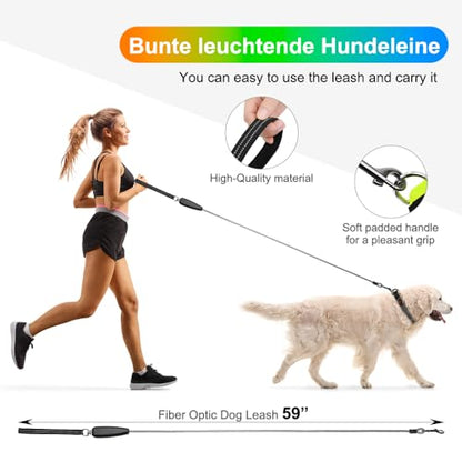 1 Pack LED Dog Leash USB Rechargeable Colorful 5ft Glow-in-Dark Safety Leash with Steel Cable & Quick Clip for Small Medium Large Dogs (Colorful, 5 feet)