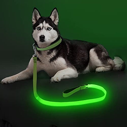 Colaseeme Light Up Dog Leash, LED Pet Leashes USB Rechargeable, Glow Safety Dogs Lights at Night (4FT,Green) - color: Green, size: 4FT
