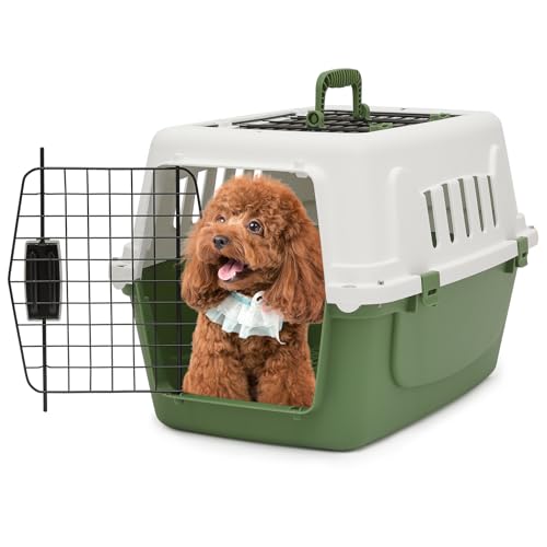 MoNiBloom 22-Inch Dog Crate Plastic 2-Door Top Loading Cat Carrier, Hard-Sided Dog Travel Carrier for Small Dogs and Cats, Ventilation and Security Lock Design for Pets up to 22 lbs (Green) - color: Green, size: 22.0"L x 14.5"W x 15.0"H