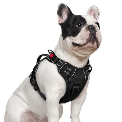 rabbitgoo Dog Harness Small Sized Dog, No Pull Pet Harness with Soft Padded Handle, Adjustable Reflective Vest with 3 Buckles, Easy Walking Harness with 2 Leash Clips, Black, S - color: Black, size: Small