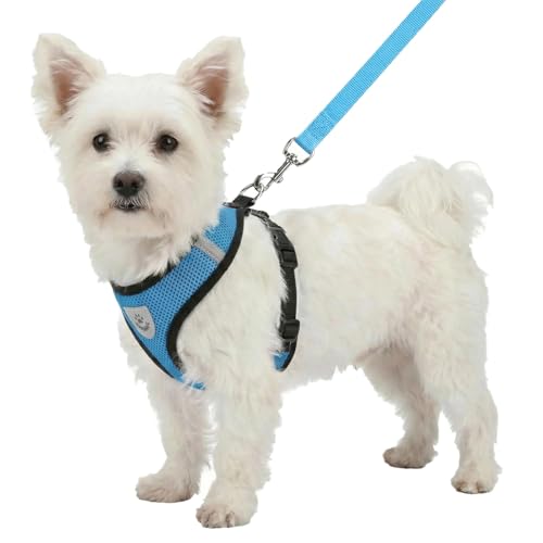 Pet Dog Vest Harnesses Puppy Cotton Polyester Adjustable Dog Mesh Harness Travel Chest Strap Vest Reflective (M, Blue) - color: Blue, size: M