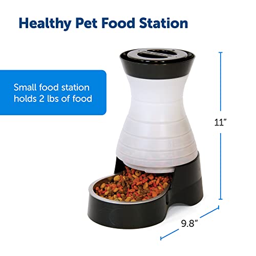 PetSafe Healthy Pet Food Station - Small, 2 lb Kibble Capacity - Gravity Pet Feeder Dry Food Dispenser - Automatic Cat Feeder or Small Dog Feeder - Removable Stainless Steel Bowl Included - size: Small