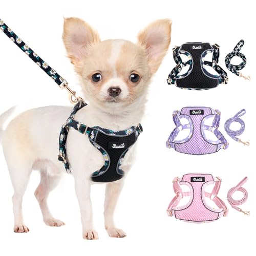 SlowTon Small Dog Harness - No Pull Dog Harness and Leash Set, Soft Mesh Lightweight Puppy Vest Harnesses, Adjustable Pet Harnesses for XXS XS Small Medium Easy Walk Hiking (Black, XXS) - color: 3.Black Daisy, size: XX-Small