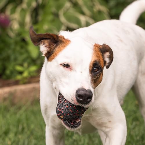 Chew King Supreme Durable Rubber Dog Toy for Aggressive Chewers, Treat-Dispensing Heavy-Duty Chew Toy with Safety Air Vent, Interactive Dog Toy for Training & Enrichment, Large 4.1" x 3.1" - color: E) Large Treater