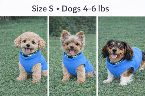 JACKO & CO - Fleece Vest Dog Sweater with Leash Ring - Soft, Warm & Lightweight Pullover Coat for Small & Medium Dogs, Puppies & Cats - Cozy Fall/Winter/Spring Pet Jacket (Blue, Small 4-6lbs) - color: Blue, size: S (4-6lbs)