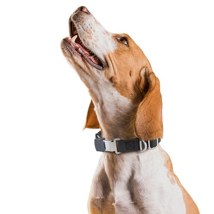 Biothane Waterproof Durable Dog Collar with Herm Sprenger - Quick Release ClicLock Buckle - Fits Medium and Large Dogs - Made in USA (Black, W 1" x L 15"-25") - color: Black, size: W 1" x L 15"-25"