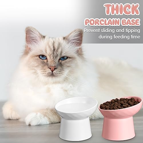 Tanlade 4 Pcs Ceramic Raised Cat Bowls, Elevated Tilted Cat Bowl for Food Water, Stress Free, Backflow Prevention, Dishwasher Microwave Safe, Feeder Dish for Indoor Kitten, Small Dogs(White and Pink) - color: White and Pink