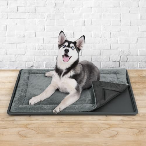 CAPHAUS Dog Pad with Tray for 42-Inch Crate, Mat with Non-Slip Bottom, Durable Plastic Tray and Machine-Washable Flat Dog Bed for Easy Cleaning - color: Tray & Dog Bed, size: Medium Large