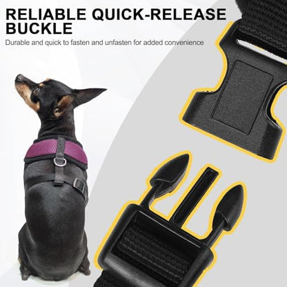 BINGPET Small Dog Harness, No Pull Dog Harness Small Sized Dogs, Soft Light Breathable Mesh Puppy Vest with Safety Buckle-Adjustable Step in Pet Harnesses for Easy Walking, Running, Training - color: Purple, size: XS (NECK: 10", CHEST: 10"-14")