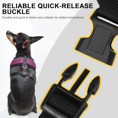 BINGPET Small Dog Harness, No Pull Dog Harness Small Sized Dogs, Soft Light Breathable Mesh Puppy Vest with Safety Buckle-Adjustable Step in Pet Harnesses for Easy Walking, Running, Training - color: Purple, size: S (NECK: 12", CHEST: 14"-18")