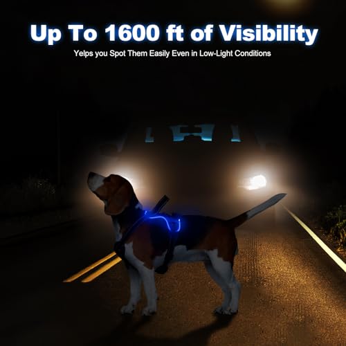 Lighted Dog Harness - No Pull, Glowing LED Harness with Handle for Small to Large Dogs - color: Blue, size: S
