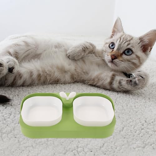 HEMOTON Cat and Dog Feeding Bowl Set Nonslip Plastic Pet Food and Water Bowls for Cats and Puppies Spill-Resistant Feeder for Home Use