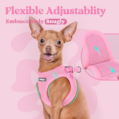 rabbitgoo Small Dog Harness, Step-in Soft Mesh Puppy Vest with Safety Buckle, Breathable Reflective Pet Harness for Small Medium Dogs, Light Pink XL - color: Light Pink, size: Xl(chest:20.0"-21.8")