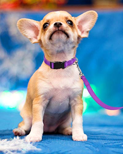 Reflective Dog Collar, Sturdy Nylon Collars for Puppy and Extra Small Girl and Boy Dogs, Adjustable Dog Collar with Quick Release Buckle,Purple,5/8" Width - color: Purple, size: X-Small Plus (Pack of 1)