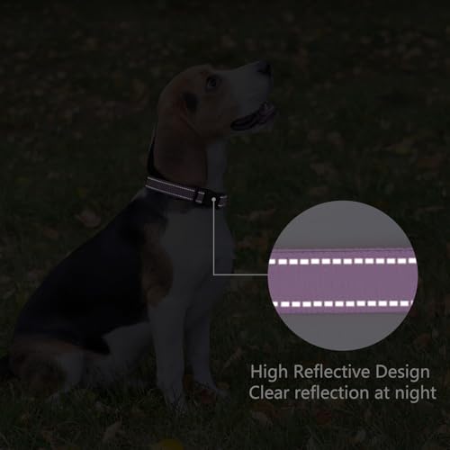 Reflective Dog Collar Padded with Soft Neoprene Breathable Quick Release Basic Dog Collars for Puppy Small Dogs Lavender - color: Lavender, size: XS:width 5/8"neck 8-10.5"