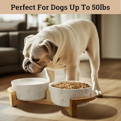 Ceramic Dog Bowls with Stand - Medium Dog Bowl Set with Stand Non-Slip - 2 Ceramic Dishes with Anti-Skid Bamboo Stand for Medium Dogs - Elevated Dog Bowls Set of 2 - Raised Pet Feeding Station - color: White with Stand, size: Medium