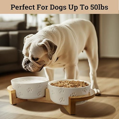 Ceramic Dog Bowls with Stand - Medium Dog Bowl Set with Stand Non-Slip - 2 Ceramic Dishes with Anti-Skid Bamboo Stand for Medium Dogs - Elevated Dog Bowls Set of 2 - Raised Pet Feeding Station - color: White with Stand, size: Medium