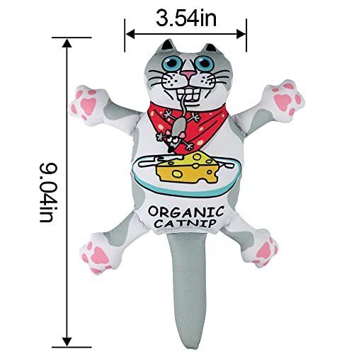 TTcat Organic Catnip Pillow for Indoor Cat and Kitten,Cat Crinkle Kicker Toy Chew Toy,White - color: white