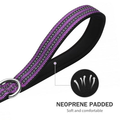 Hikiko 5FT Purple Dog Leash with Dual Handles Heavy Duty Reflective Strong Dog Leash for Walking and Training - color: Purple, size: 1 in x 5 ft