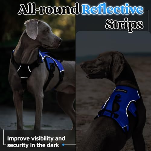 rabbitgoo Escape Proof Dog Harness, Soft Padded Full Body Pet Harness, Reflective Adjustable No Pull Vest with Lift Handle and Leash Clip for Large Dogs Walking Hiking Training, M, Blue - color: Blue, size: Medium (Pack of 1)
