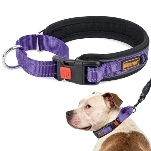 Mayerzon Martingale Collar for Medium Large Dogs, No Pull Dog Collar with Buckle, Soft Padded Reflective Martingale Dog Collar for Training Walking Outdoor(Purple, L) - color: Purple, size: L(Neck: 18-19.75")