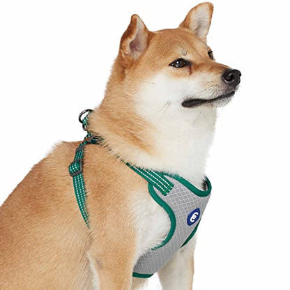 Blueberry Pet Essentials Back to Basics Reflective Dog Harness Vest, Dark Green, Small, Adjustable Harnesses for Dogs - color: Dark Green, size: Small (Pack of 1)