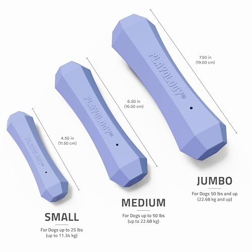Playology Dog Toys | Squeaky Chew Stick for Dogs | Blueberry Scented Medium Fetch Toy | Squeaky Dog Chew Toy - size: Medium, style: Blueberry