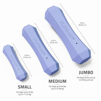 Playology Dog Toys | Squeaky Chew Stick for Dogs | Blueberry Scented Medium Fetch Toy | Squeaky Dog Chew Toy - size: Medium, style: Blueberry