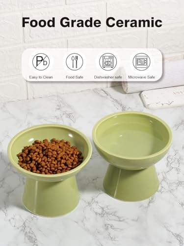 LoeJan Elevated Food and Water Bowls Set, Extra Wide and Raised Ceramic Feeder, Anti-Vomit Whisker-Free Pressure Cat Bowl for Kittens to Adult Cats, Small Dogs (Green, Water Bowl) - color: Green, size: Single (Water Bowl)