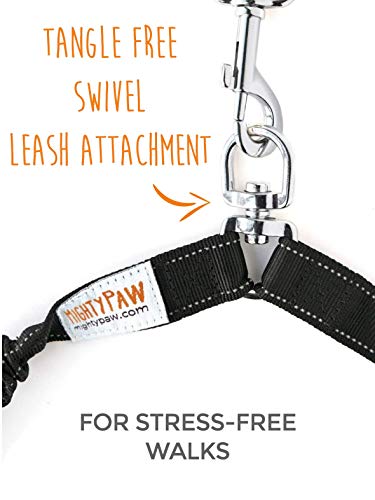 Mighty Paw Double Dog Leash - Force Absorbing Bungee Design - Two Dog Leashes Splitter - Walking Two Pets - 2 Pet Tangle Free - Pet Splitter (Lite | 30-100 lbs | No Handle, Black)