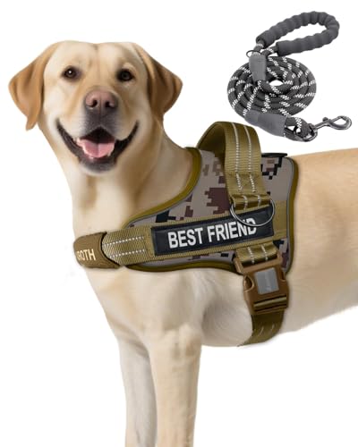 AUROTH Dog Harness and Leash Set, Soft Padded Service Dog Vest with 5.25FT Dog Leash, No Choke, Easy On Pet Vest, Adjustable Reflective No Pull Dog Harness for Large Dogs, Easy Walking and Training - color: Desert Camo, size: Large