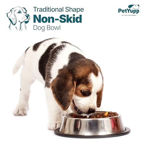 Stainless Steel Non Skid Dog Bowl – Non-Slip Rubber Base, Rust-Proof & Dishwasher Safe – Durable Food and Water Bowl for Dogs and Cats – 32oz - size: Non Skid Bowl - 32 oz