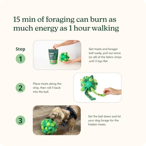 Reggie Forager Ball for Dogs | Interactive Treat Dispensing Dog Enrichment Toys | Reduces Boredom, Stress & Hyperactivity | Snuffle Toys for Dogs | Durable & Washable Dog Puzzle Toy - size: Forager Ball Green