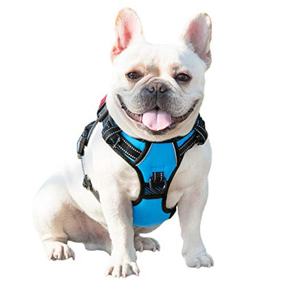 PHOEPET No Pull Dog Harnesses for Small Dogs Reflective Adjustable Front Clip Vest with Handle 2 Metal Rings 3 Buckles [Easy to Put on & Take Off](XS, Blue) - color: Blue, size: Extra Small