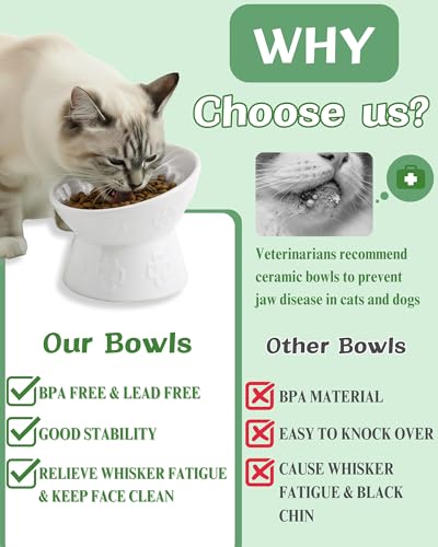 Ceramic Slow Feeder Cat Bowl, 15° Tilted Elevated Cat Slow Eating Bowl for Neck Protection, Anti Vomiting Dog Slow Feeder, Whisker Friendly & No Black Chin for Cats and Small Dogs, White - color: 01-White