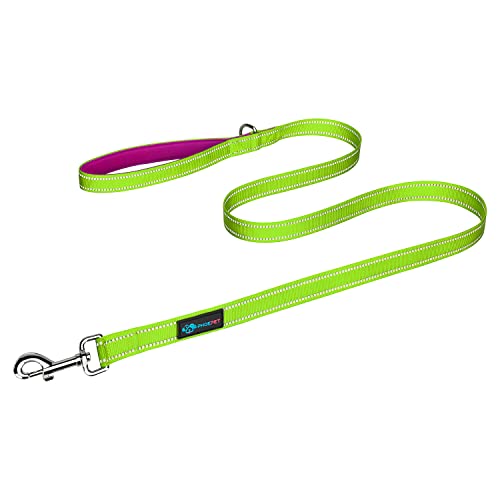 PHOEPET 5 Feet Dog Leash with Comfortable Padded Handle Easy Snap Clasp - Reflective Walking Lead for Large, Medium & Small Breed Dogs (Green + Purple Base) - color: Green + Purple Base