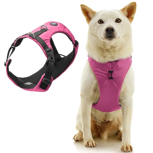 Gooby Trailblazer Harness - Raspberry Rose, 2X-Small - Shock Absorbing Dog Harness with No Pull Front and Dual Back Clips for Small Dog and Medium Dog - color: Raspberry Rose, size: 2X-Small (9.75-12.25")