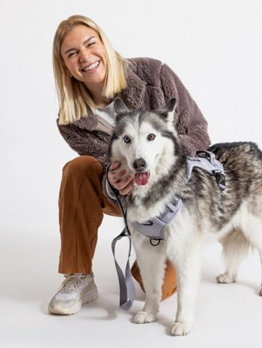2026 New Edition, Fei & Eve Classic Dog Harness - Quick-Release Buckles | 3-Point No-Pull Control | Heavy-Duty 900D Nylon | Dual Safety Handles | Breathable Mesh | Adjustable Fit | Medium,Gray - color: Twilight Gray, size: M