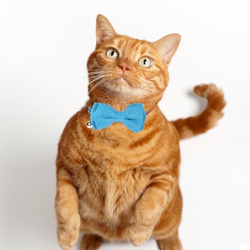 2 Pcs Boy Cat Collar with Bell Breakaway Cat Collars Cute Kitten Bow Tie Collar Adjustable Small Puppy Safety Collar Solid Color Plaid Pet Collar (Blue) - color: blue